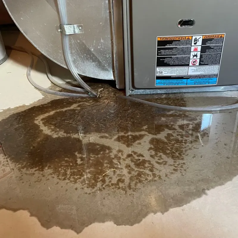 Pipe Burst and Leak Restoration in Wildwood, TN